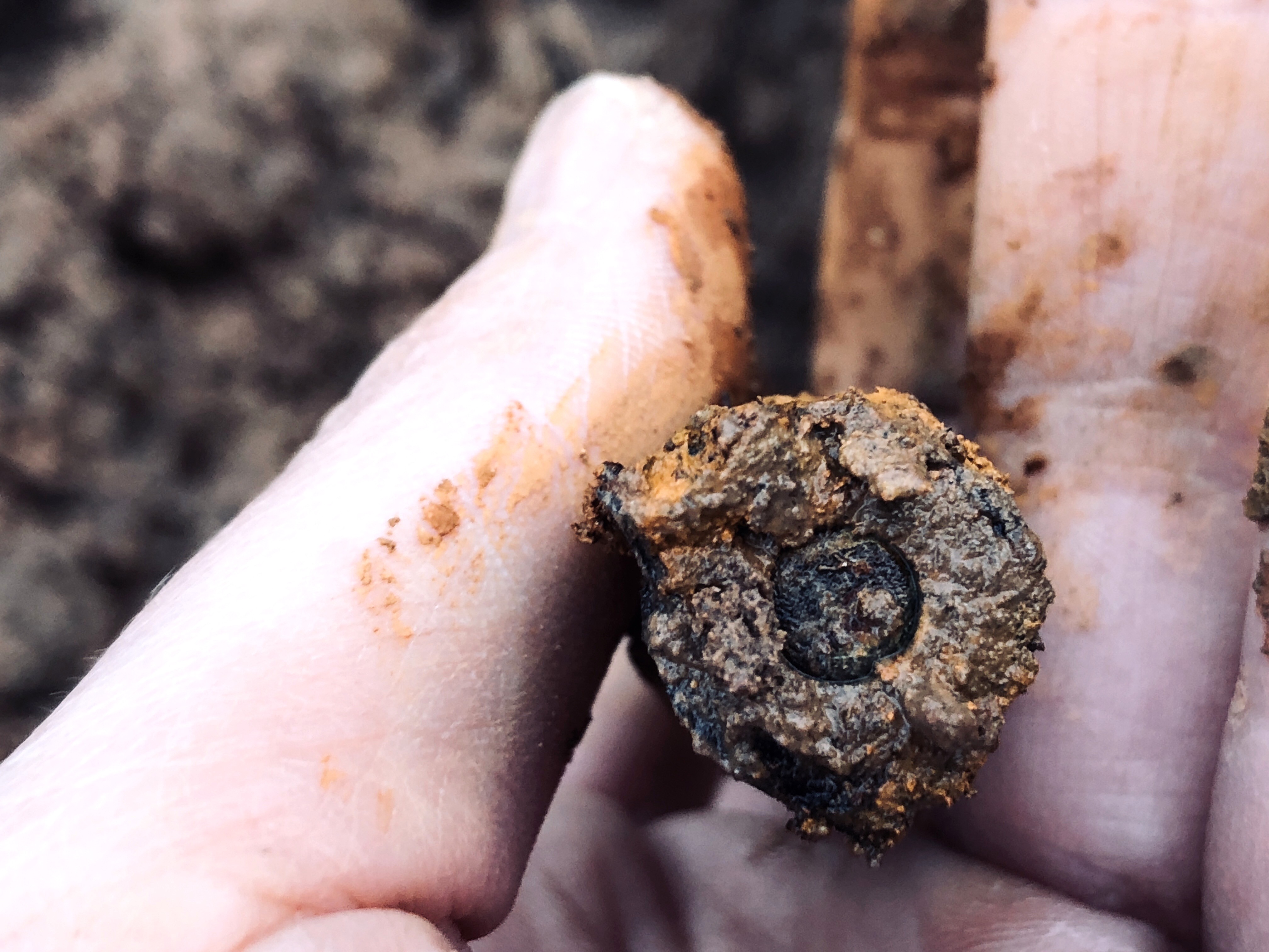 A corroded artifact lifted from the field, held in a mud-stained hand
